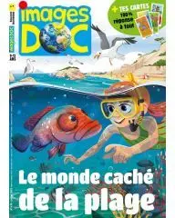 Images Doc